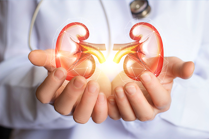 腎臓から始まる静かな脅威「MRI検査」で病気を早期発見!