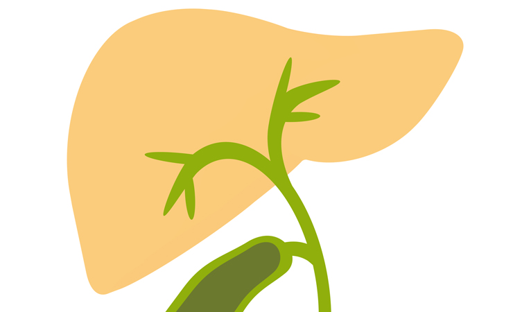 胆道がんの早期発見に役立つ検査
